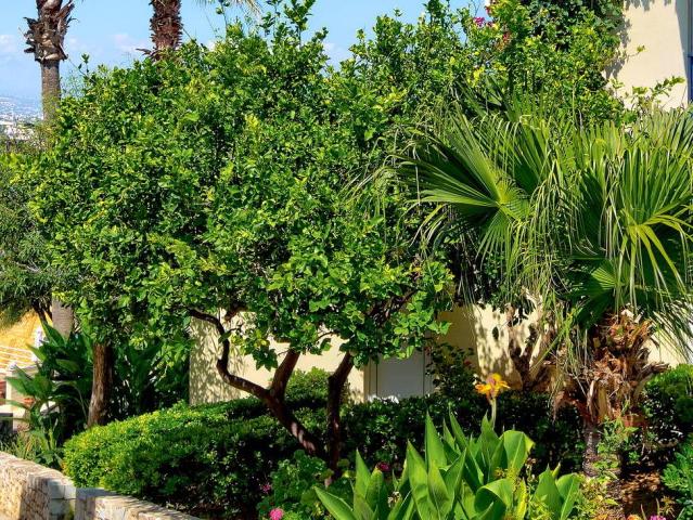 Rethymno Mare Royal & Water Park