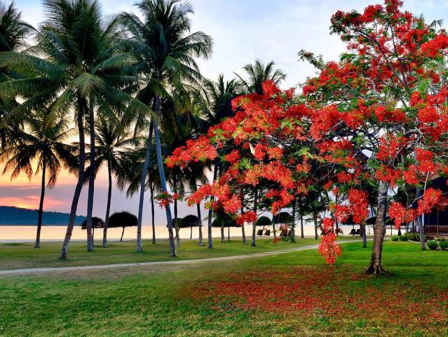 Pelangi Beach Resort