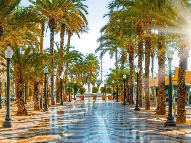 Alicante Express