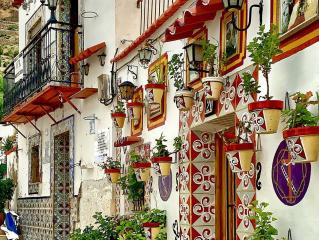 Alicante Express