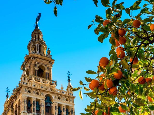 Sevilla Express