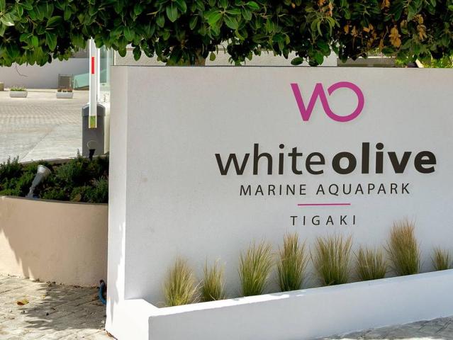 White Olive Marine Aquapark
