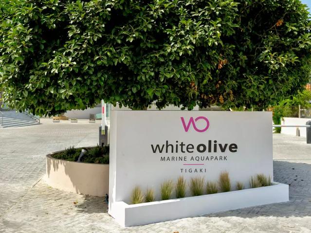 White Olive Marine Aquapark