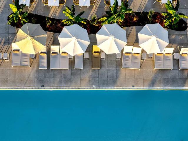 Domes Aulūs Zante, Autograph Collection