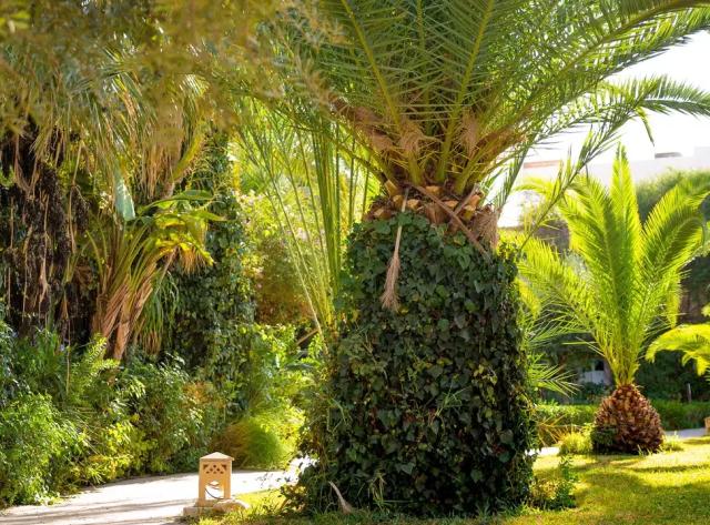 Eden Yasmine Resort & Spa