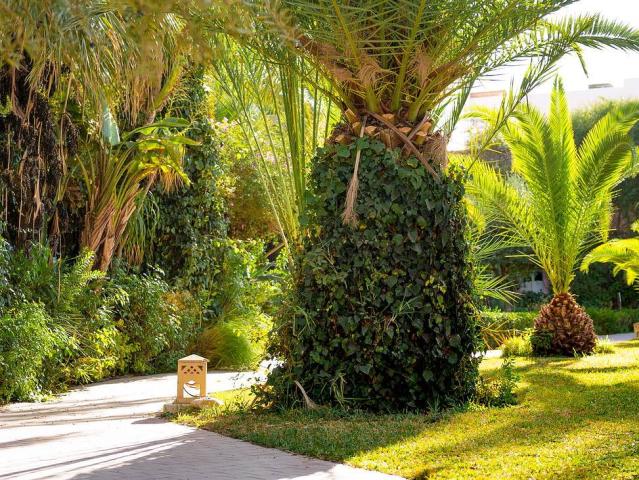Eden Yasmine Resort & Spa