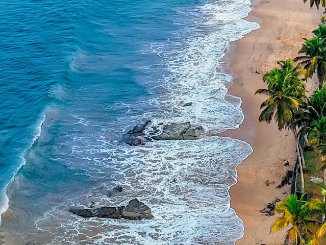 Sheraton Kosgoda Turtle Beach