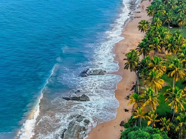 Sheraton Kosgoda Turtle Beach