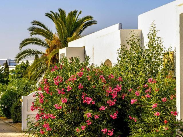 Iberostar Selection Mirage Hammamet