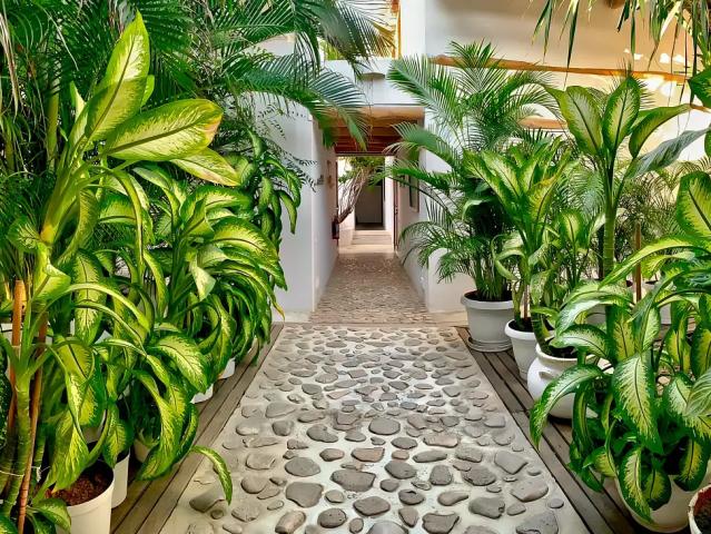 Posada Malibu