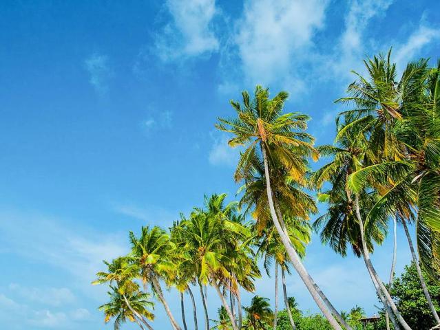 Kaani Beach