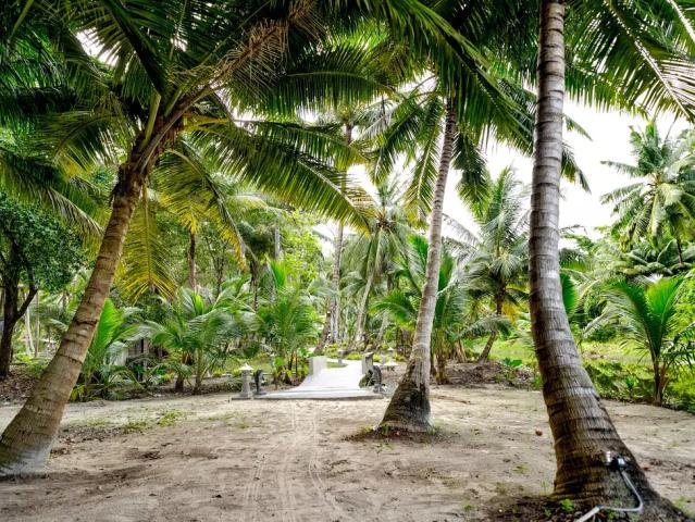 Sandyy Wavess Beach Resort