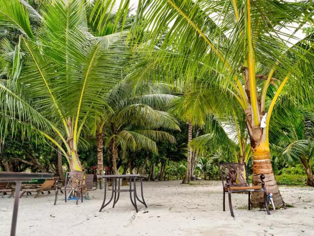 Sandyy Wavess Beach Resort
