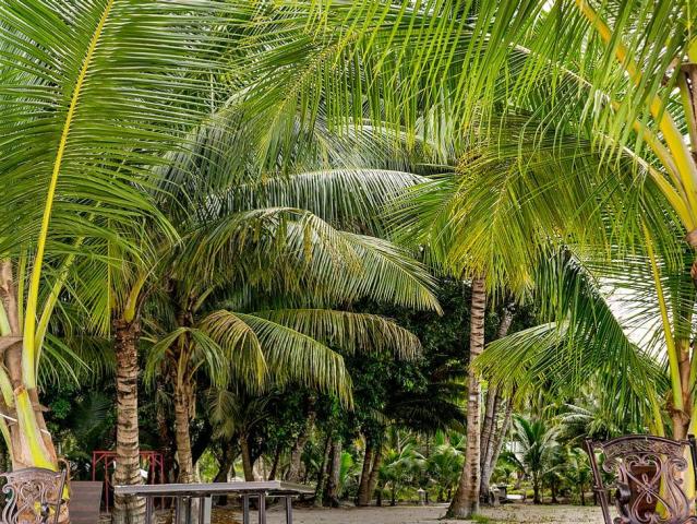 Sandyy Wavess Beach Resort