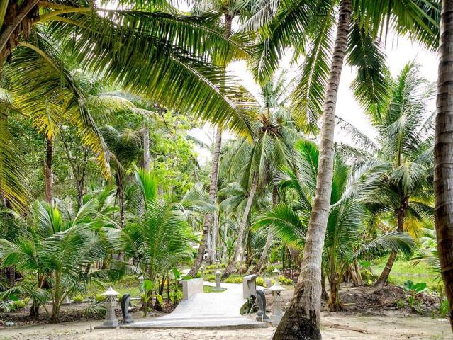 Sandyy Wavess Beach Resort