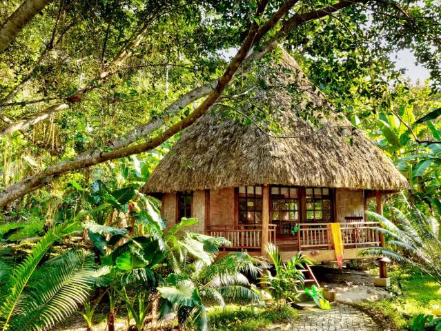 Barefoot Resort