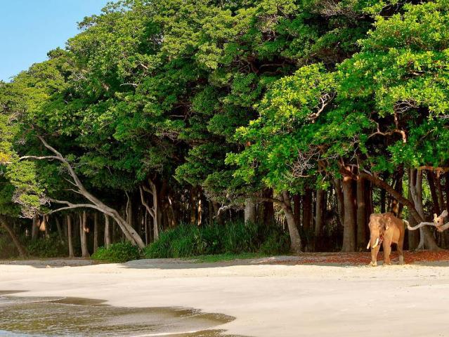 Barefoot Resort