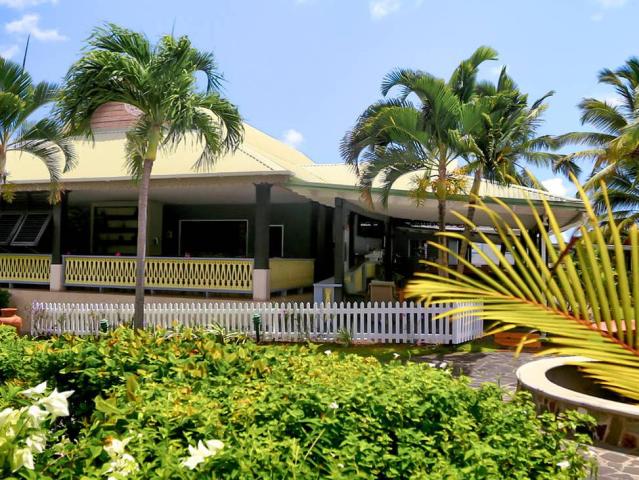 Coco Palm