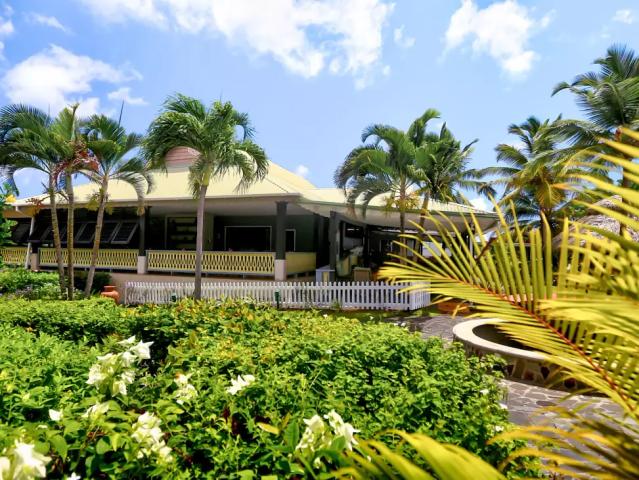 Coco Palm