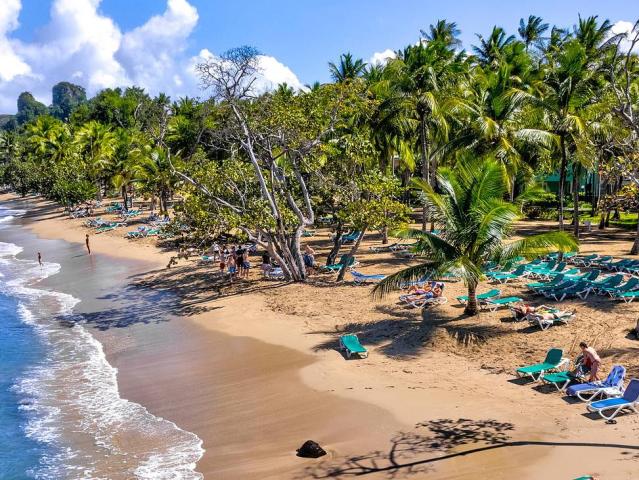 Exotika light - Dominikánská republika - Caribbean Vibe