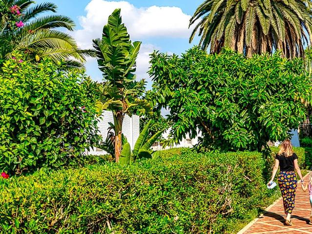 Le Hammamet Resort