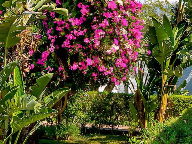 Le Hammamet Resort