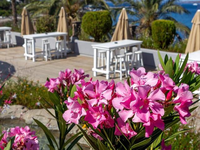 Diamond of Bodrum