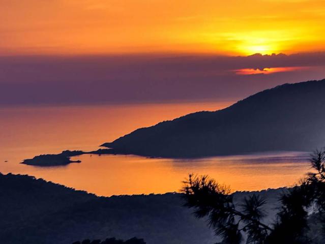 Garcia Resort & Spa