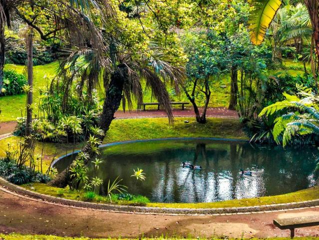 Azory - Sao Miguel - Zelený ostrov