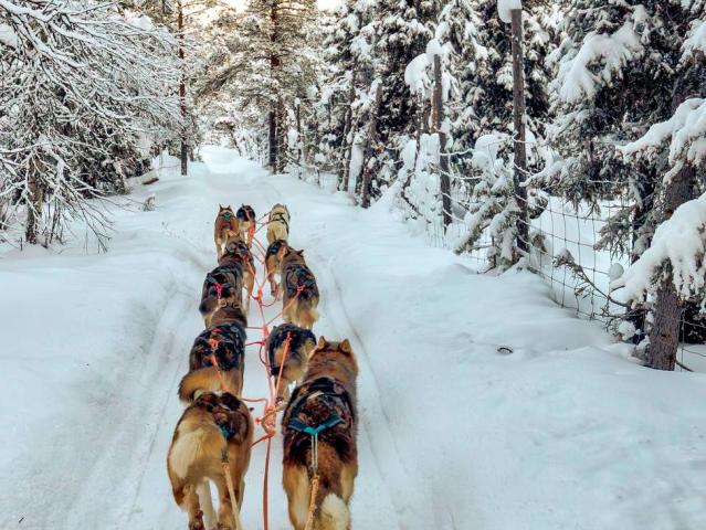 Rovaniemi - s návštěvou u Santa Clause