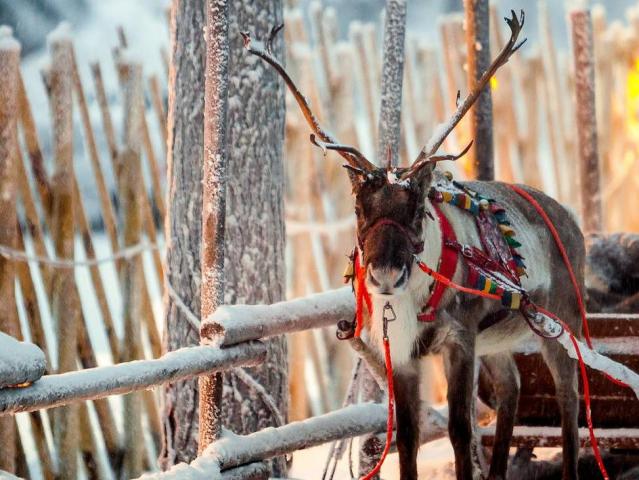 Rovaniemi - s návštěvou u Santa Clause