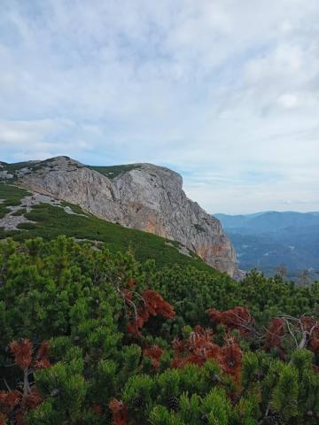 Rakousko, pěší turistika na jeden den v Raxalpe, CK