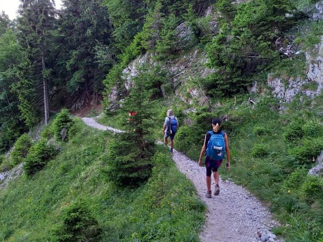 11 km pěší turistiky, pohoří Raxalpe, Rakousko, CK