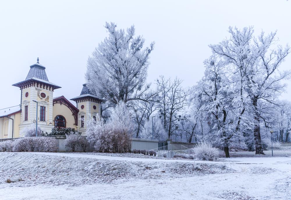 CK, Slovensko, jednodenní výlet, Adventní Bratislava