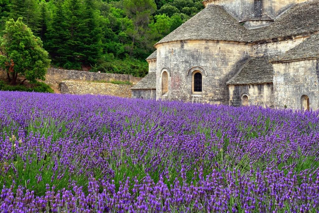 Provence  - Vůně Levandule