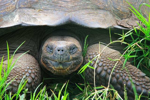 Ekvádor, Galapágy, Peru, Bolívie (Komfort)