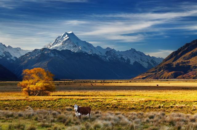 Nový Zéland a velká města Austrálie (Komfort)