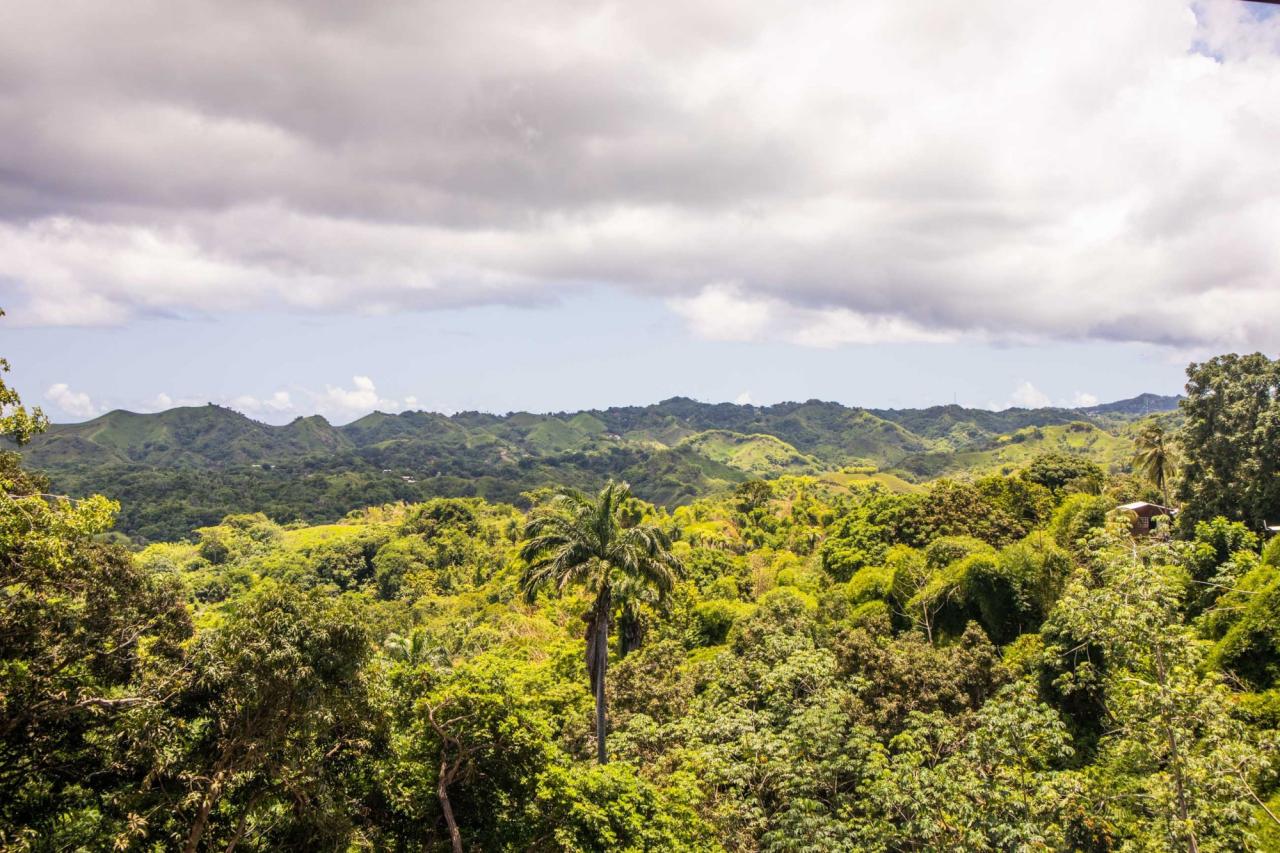 Surinam, Guyana, Venezuela, Kolumbia, Ekvádor (Expedition)