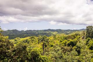 Surinam, Guyana, Venezuela, Kolumbia, Ekvádor (Expedition)