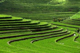 Jáva, Bali (Komfort)
