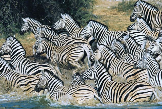 JAR, Namibie, Botswana, Zimbabwe, Zambie (Komfort)