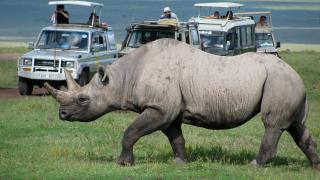Safari v Keni