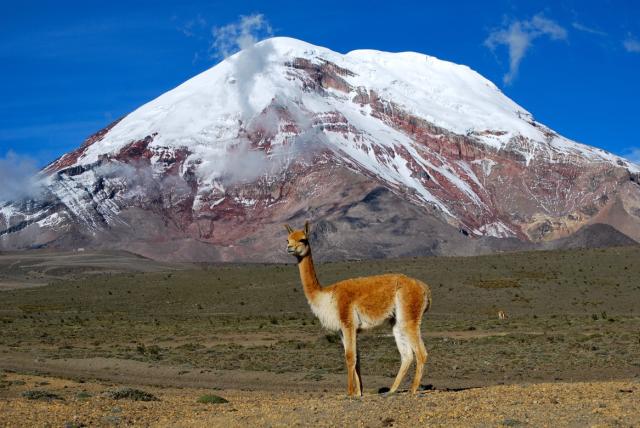 Ekvádorská sopka Chimborazo a Galapágy