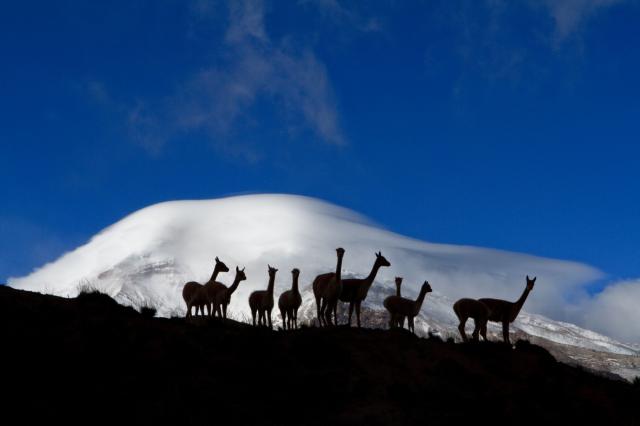 Ekvádorská sopka Chimborazo a Galapágy