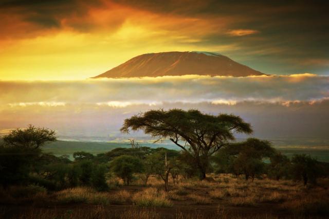 Gorily ve Rwandě a safari v Keni