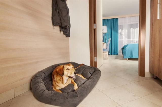 AdriaAnkaran_ApartmaBor_IMG_1513.jpg
