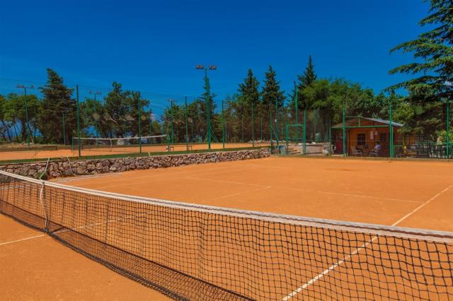 Sport activities__pavilions Kacjak (1).jpg