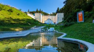 Zdraviliski Dvor