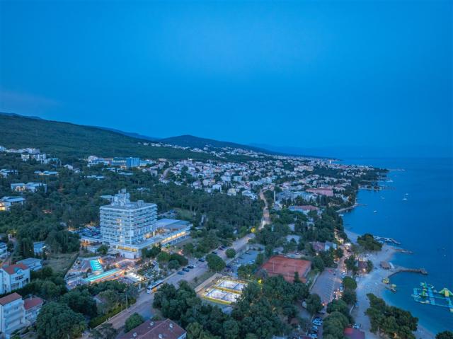OMORIKA DRON 04.jpg
