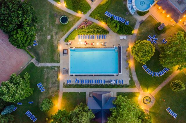 DH Bük_garden from above.jpg